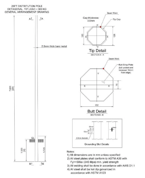 LV Electric Pole with Ladder